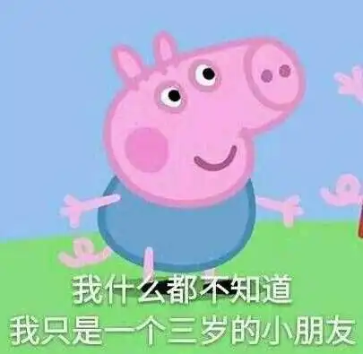  霸占你表情包的这只小猪,原来出自9.0分的好动画
