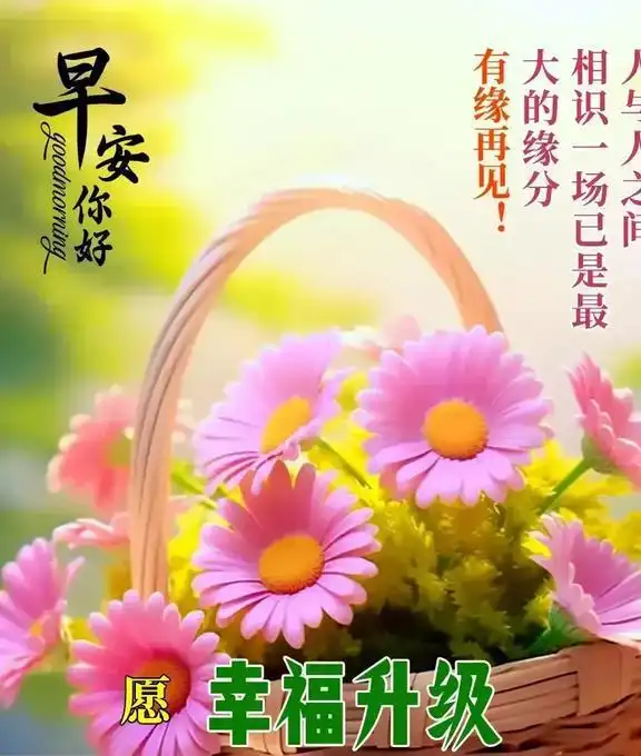  一句早安,是真情的牵挂,是美好的祝愿