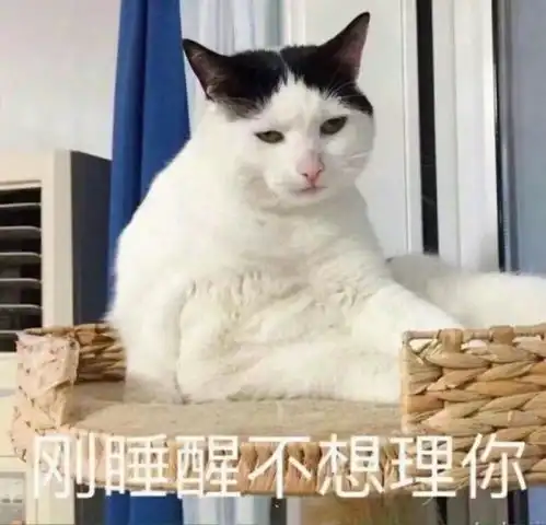  让人心疼又好笑的舔狗统一语录文案
