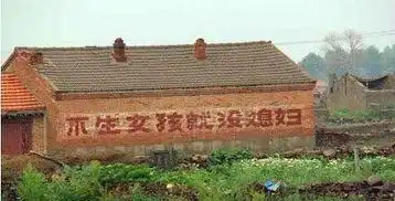  搞笑图片搞笑段子不生女孩就没媳妇,这个标语太实在了