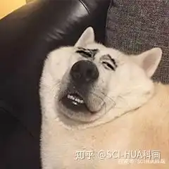  绘图的尺寸论文期刊科研绘图格式解读,轻松达到sci要求scihua科画技法