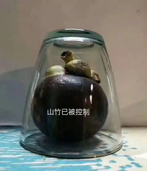  山竹台风胶带表情包新鲜出炉但是,问题来了.....