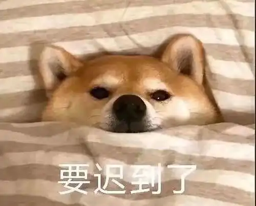 凤姐的图片大全表情包褶