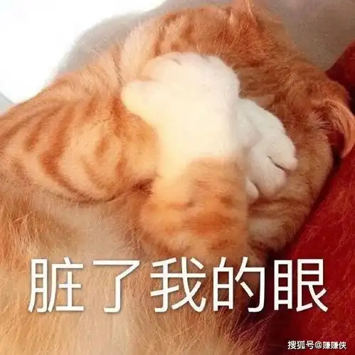 搞笑表情包图片森气,微信聊天天天见  搞笑表情包图片森气,微信聊天天天见