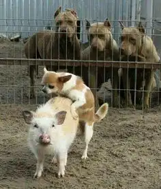 你已经长大了,是时候为家里分担一点了,学一门手艺吧  你已经长大了,是时候为家里分担一点了,学一门手艺吧