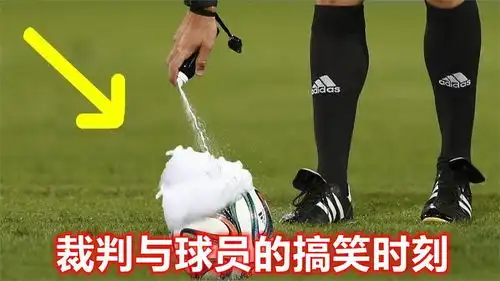  足球史上裁判与球员的十个搞笑瞬间,你们才是场上的搞笑达人