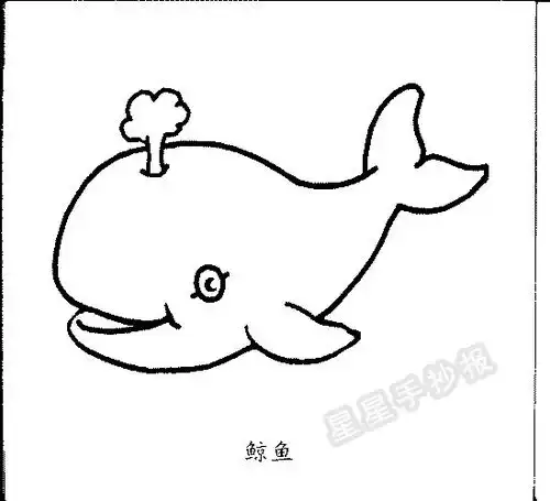 胖瘦小鲸鱼简笔画