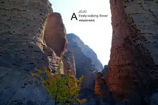  黄河石林游记