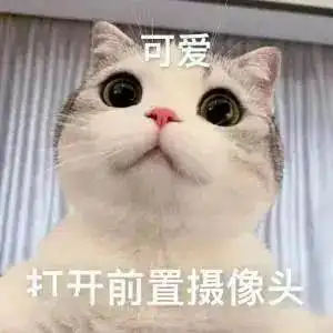  勇敢喵君不怕困难丨第140期喵表情