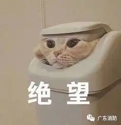  男生一出门,马上变暖男烤验才刚开始,6号台风百合能降温吗
