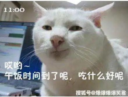  爆笑段子女神电脑旧了,一直想换新,可苦于没有理由爸爸