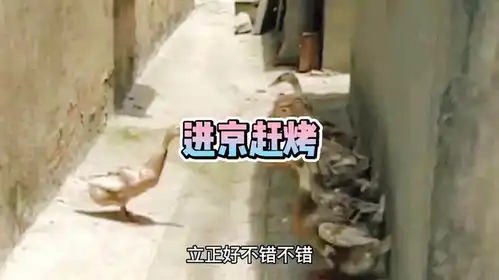  原来北京烤鸭是这么来的鸭动物搞笑配音东北话配音