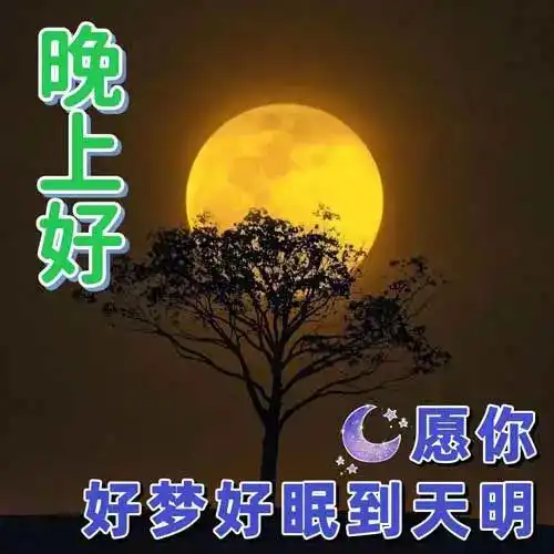 亲爱的晚安图片搞笑晚上好