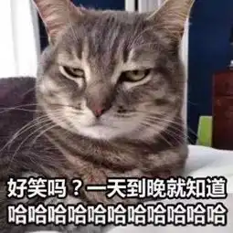 简笔画教程用2块钱的圆珠笔就能画的治愈萌图我终于有猫啦  简笔画教程用2块钱的圆珠笔就能画的治愈萌图我终于有猫啦