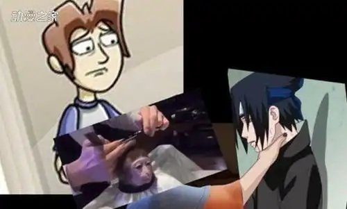 火影忍者搞笑图片佐助夺