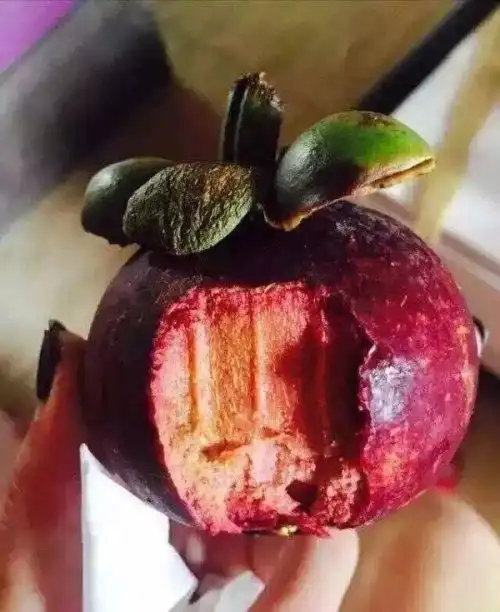  每日趣图秋天的第一桶奶茶,有人要喝吗