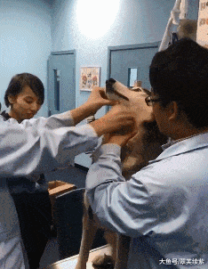 搞笑gif动态图谁家的媳妇把我的手机屏幕都搞脏了  搞笑gif动态图谁家的媳妇把我的手机屏幕都搞脏了