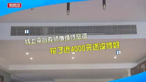  花近4千线上平台找师傅维修空调却未修好女子气坏说氨加多了