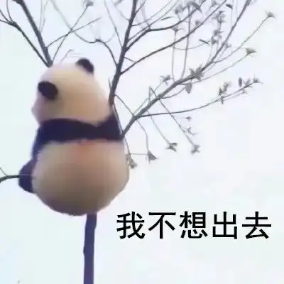  你以为神兽们开学就解放了错家里还有一个夜哭郎