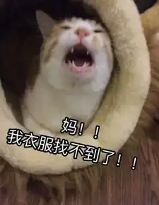  本宝宝饿了表情包
