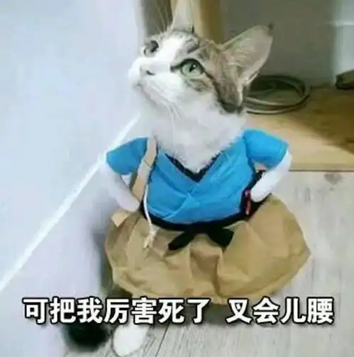  请注意不要在朋友圈冒充高考考生了每日搞笑段子