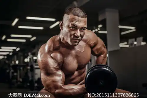  在做抗阻力训练的猛男摄影高清图片