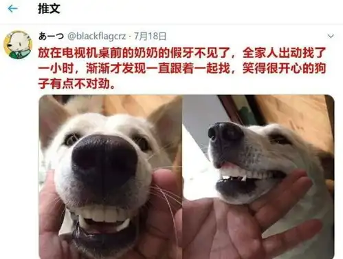 搞笑图片,大黑怎么样,信里说啥了,奶奶是不是想我了  搞笑图片,大黑怎么样,信里说啥了,奶奶是不是想我了