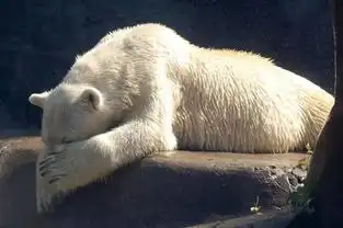  我中了一种叫螺蛳粉的毒,求你不要帮我解