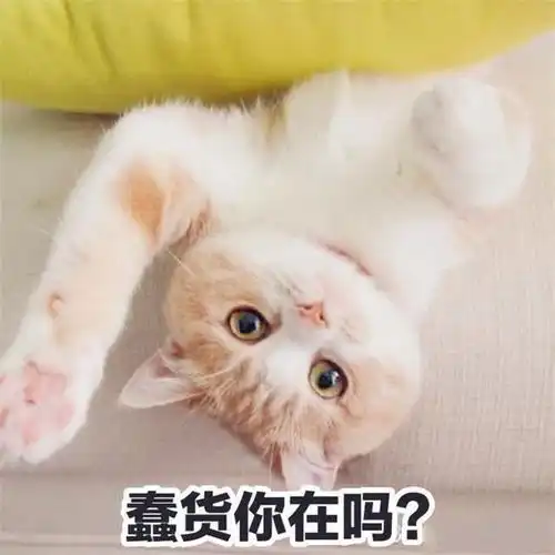 搞笑你要是敢拒绝我,我就跟你同归于尽