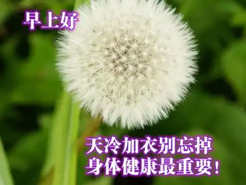  冬天问候朋友早安景色图片开心愉快的早上好祝福语