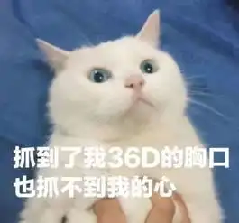  当搞笑句子遇上傻貂图片,笑的根本停不下来,上课上班勿进