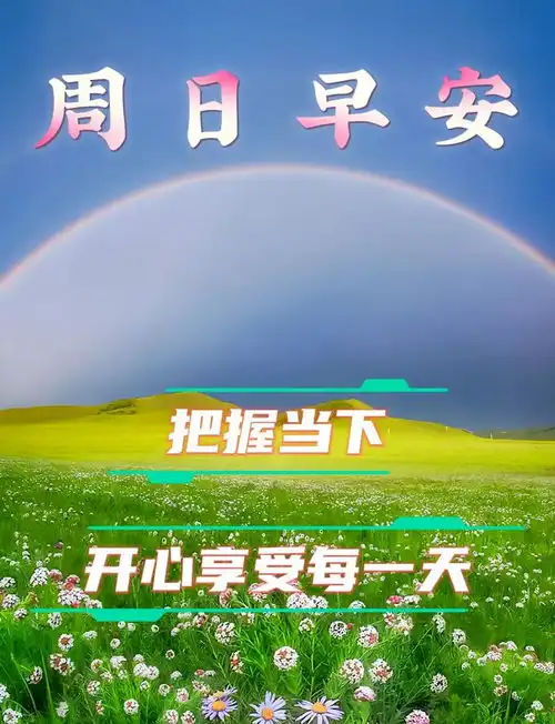  2024年8月25日周日精选早安祝福图片,雨过菊花香,又感秋风凉早安祝福美图分享给您网易订阅