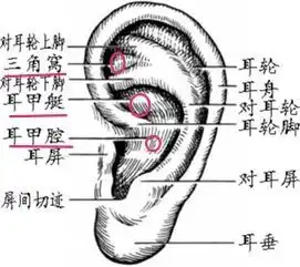  巧用健目操对抗眼干涩眼疲劳