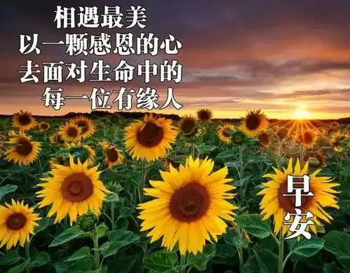  超走心的人生感悟文案