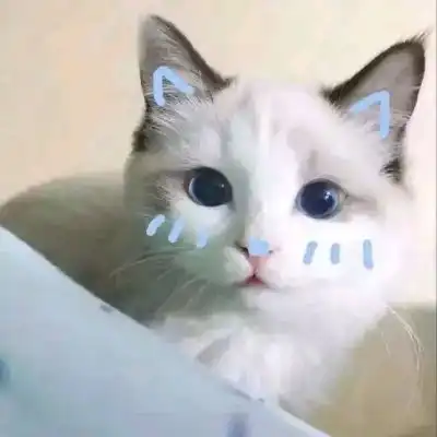 情侣头像丨古灵精怪,可可爱爱  情侣头像丨古灵精怪,可可爱爱