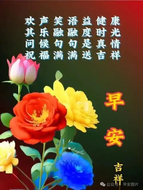  2024最新版漂亮的早安问候语图片大全,早安祝福语温馨问候