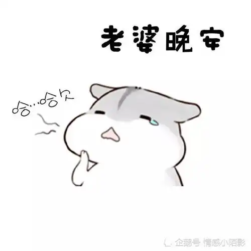 仓鼠表情包我老婆穿什么都好看
