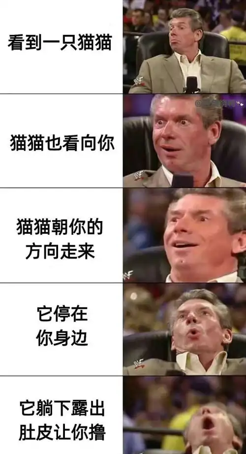 搞笑图片有哪些看起来很不明显,但是懂得都懂得情头  搞笑图片有哪些看起来很不明显,但是懂得都懂得情头