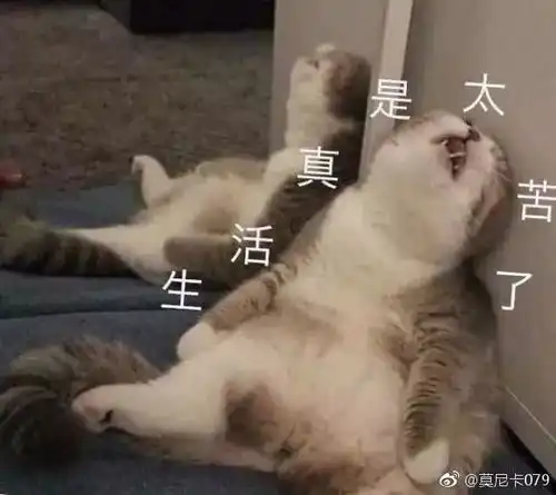  越是放假时间,我想念学校了