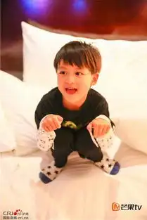 萌猫咪搞笑动态图片小亮