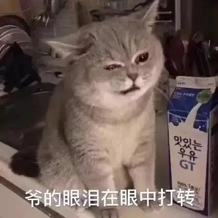  这四张保单组成了人生的最后防线