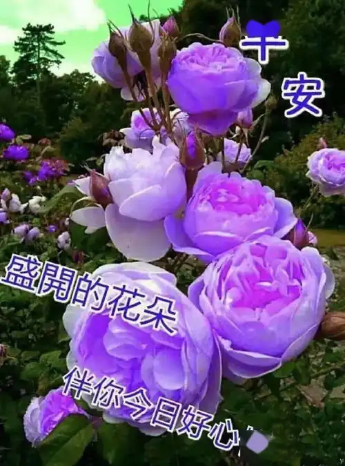 带日期的早安问候图片