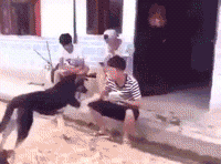 搞笑gif厉害了,我的哥 搞笑gif厉害了,我的哥