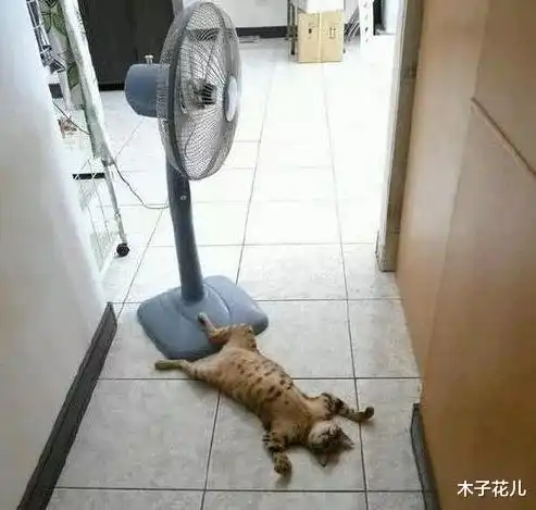  美女蜕变成女朋友,从副驾驶位置的坐姿开始哈哈哈哈深有体会