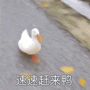  开票东坡大剧院复演,硬核喜剧爆笑来袭