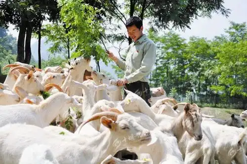 国庆期间,十堰这家景区门票竟免费还有更厉害的 国庆期间,十堰这家景区门票竟免费还有更厉害的