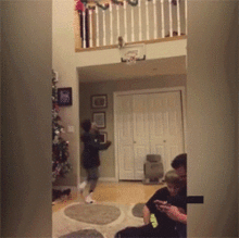  宠物gif图非常难得的哈士奇下水四连拍,表情很到位