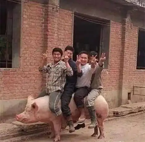  妹子,今天是你大喜的日子,不仅漂亮,关键还有钱真是人生巅峰啊