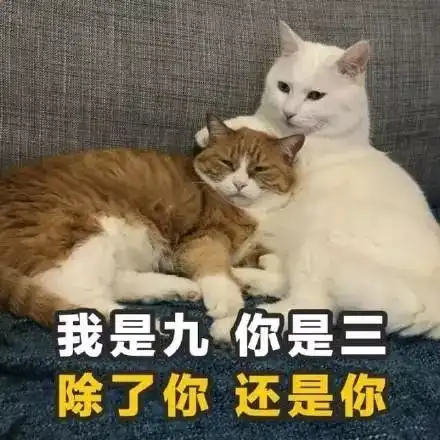  土味情话套路表情包学到就是赚到,拿去撩你的男女神