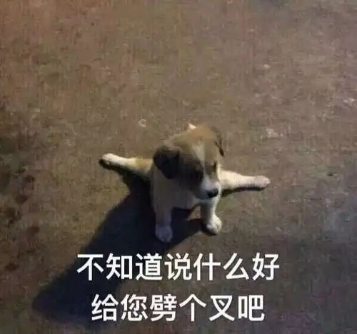出去玩表情包搞笑图片高